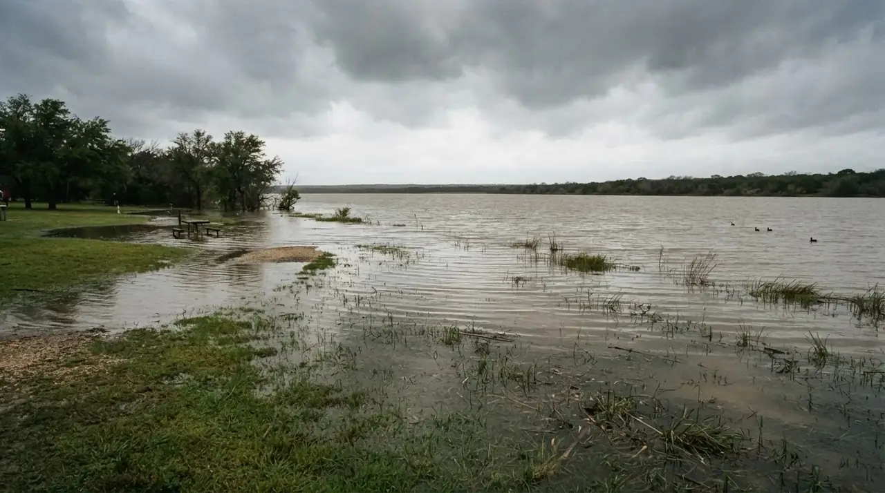 Pflugerville, TX water damage restoration — Mold After Water Damage: What Texas Law Requires